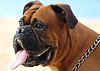 (December 13, 2010) North Shore - Lifestyle / Waimea 3